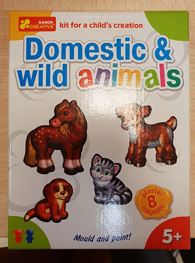 Magnetic toy
