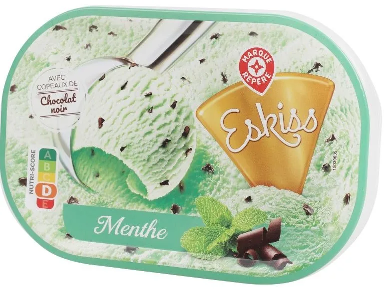 Bac creme glacee menthe chocolat 500g