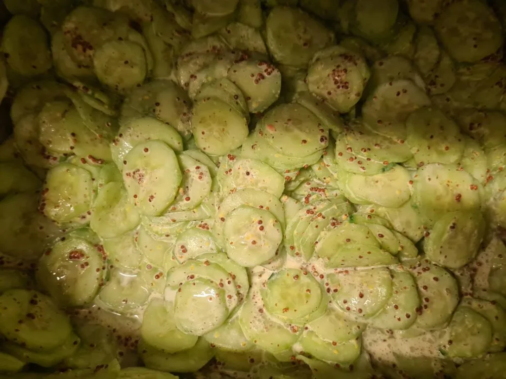 Concombre a la creme