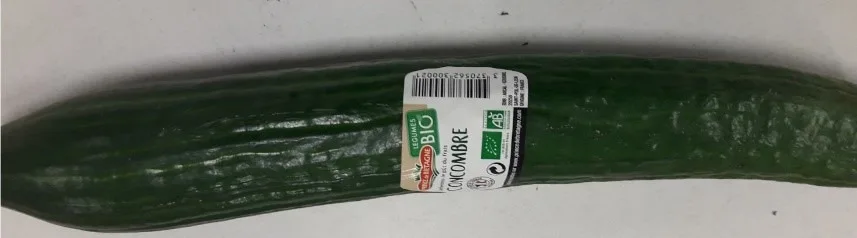 Concombre bio