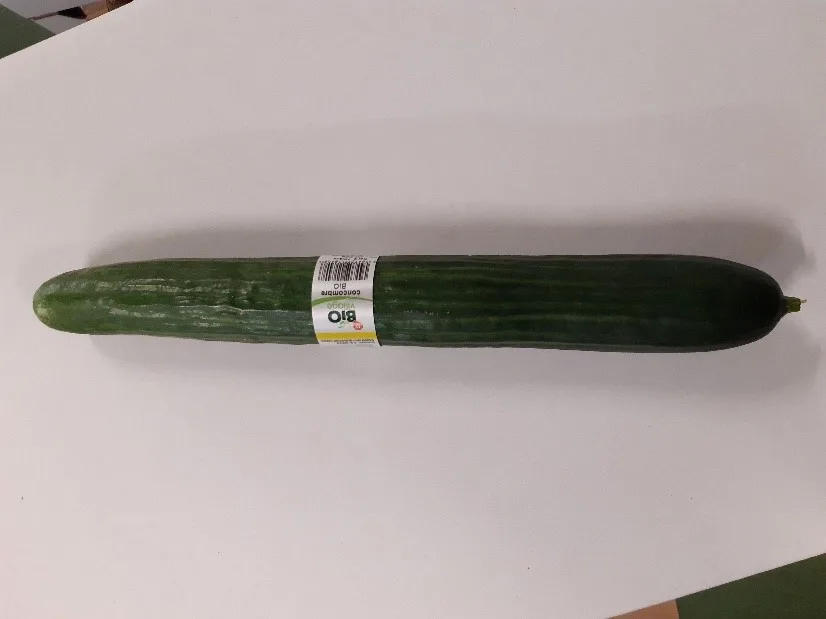 Concombre bio