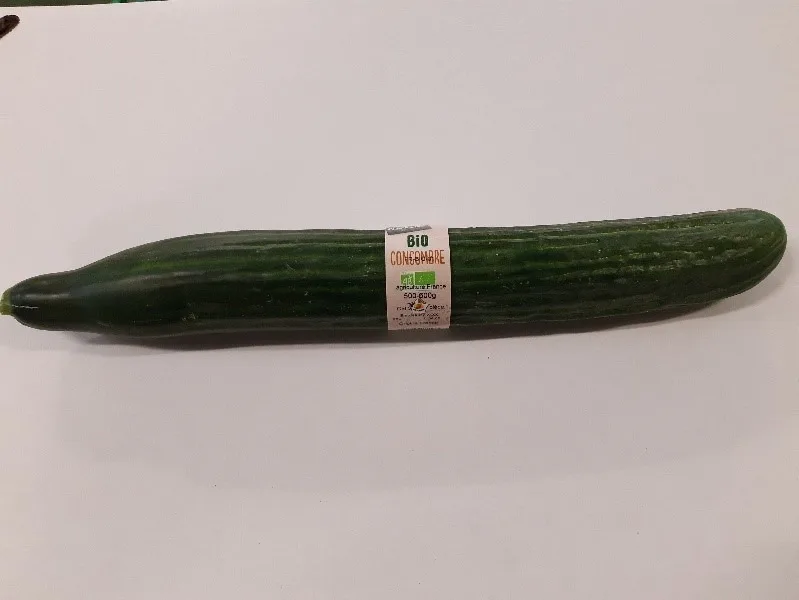 Concombre bio