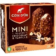 6 mini batonnets de glace vanille et chocolat, cote d'or