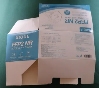 Particle filter mask