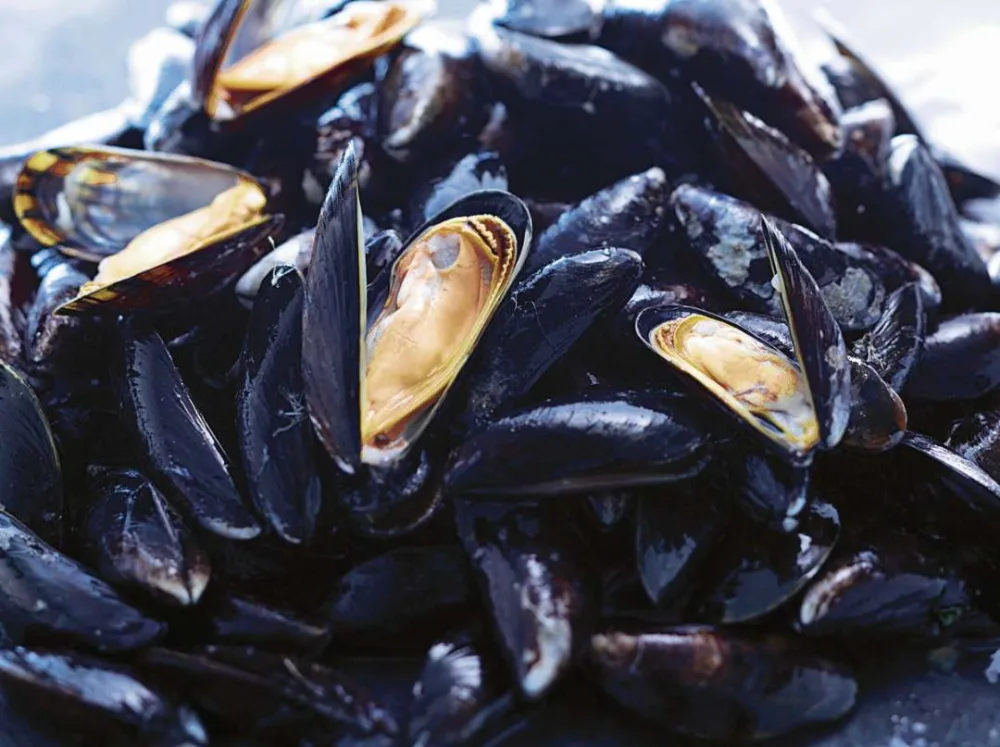 Moules de bouchot