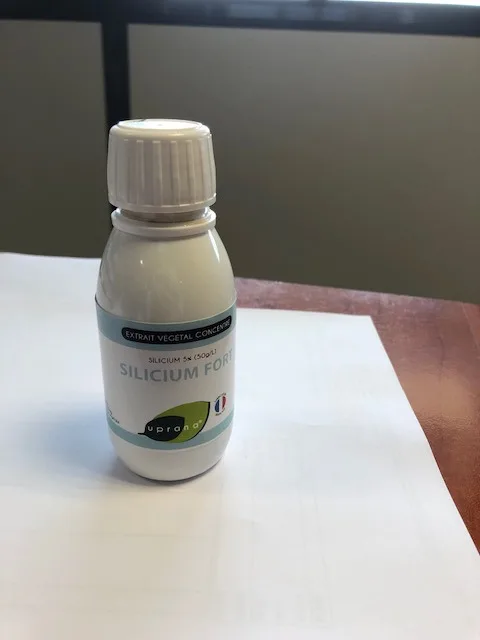 Fluide bambou (silicium)