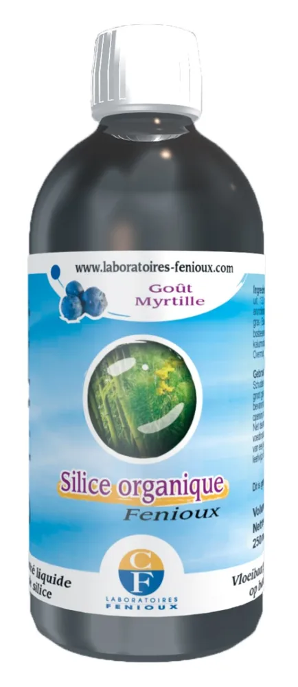 Silice organique
