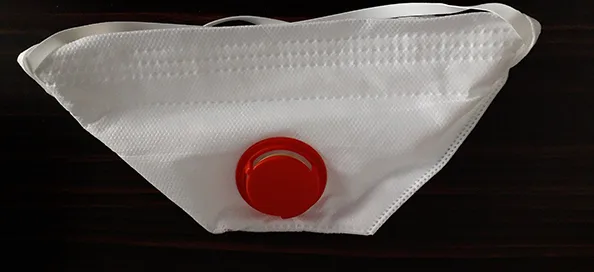 Particle filter mask
