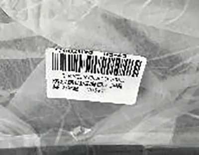 Transparent plastic camera bag