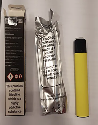 Disposable electronic cigarette