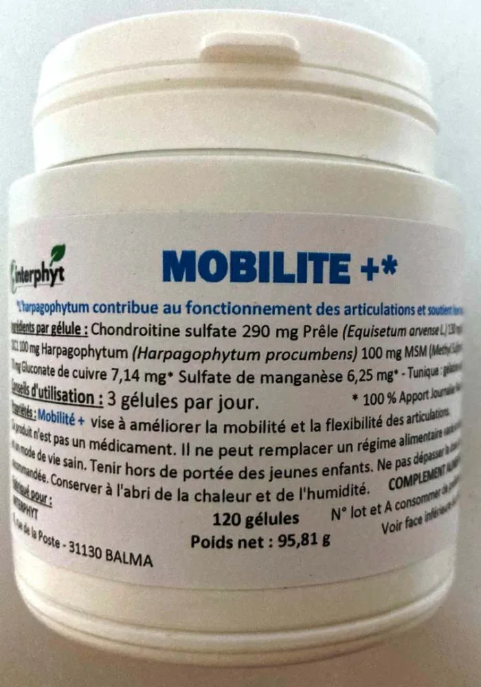 Mobilite+