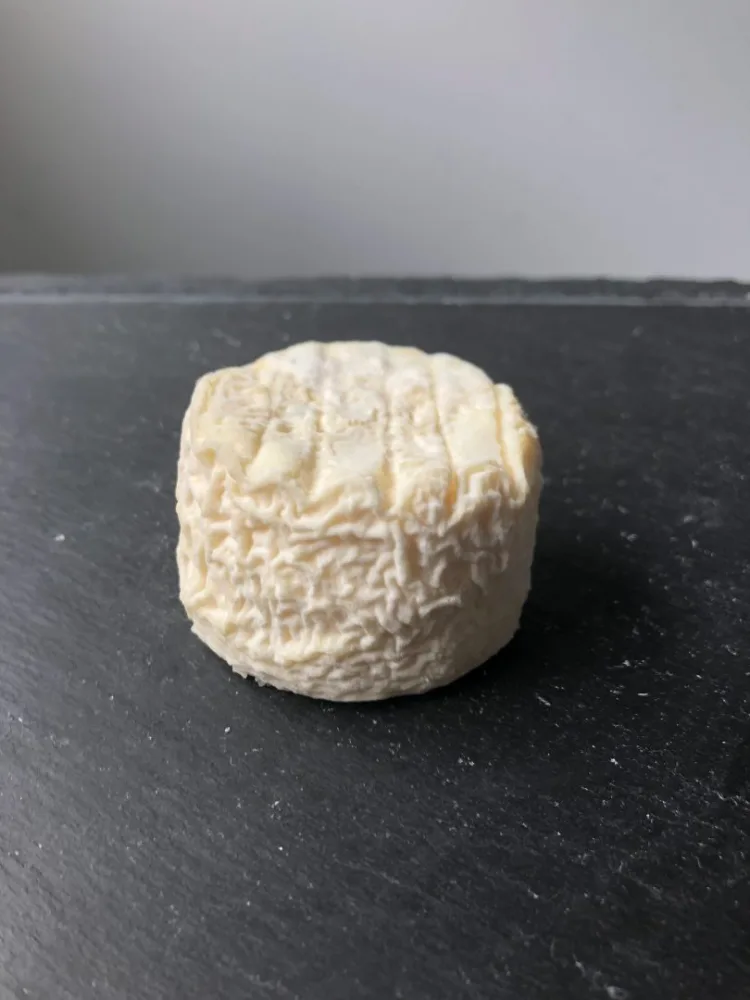 Fromage de chevre fermiers