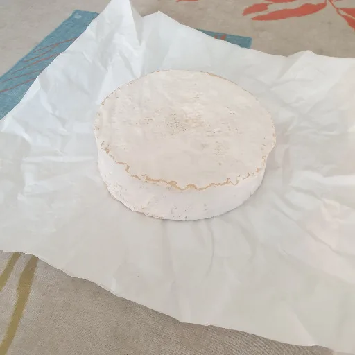 Camembert