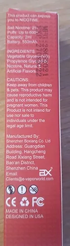 Disposable electronic cigarette