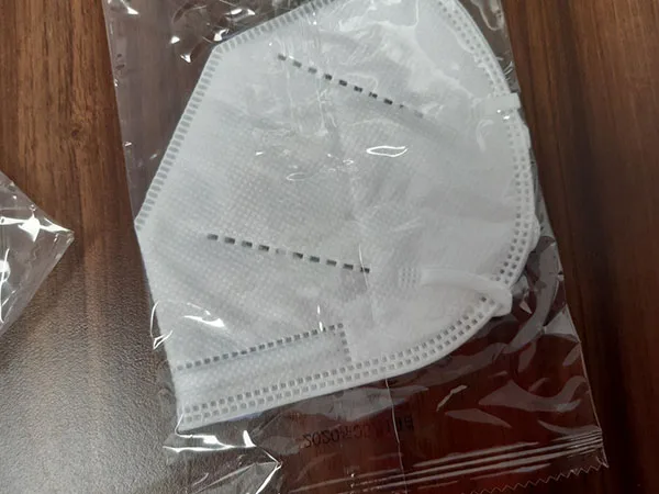Particle filter mask
