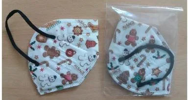 Particle filter mask