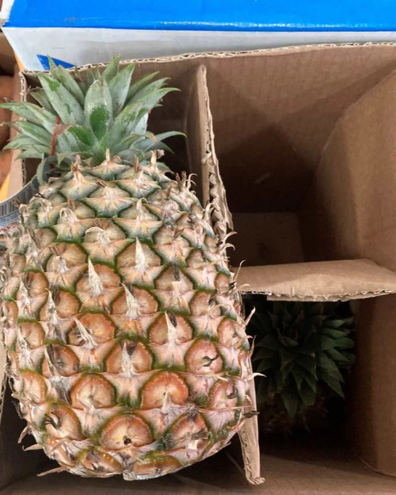 Ananas avion cayen lisse