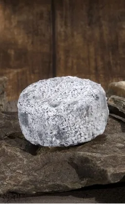 Pyramide,bûche,cendré