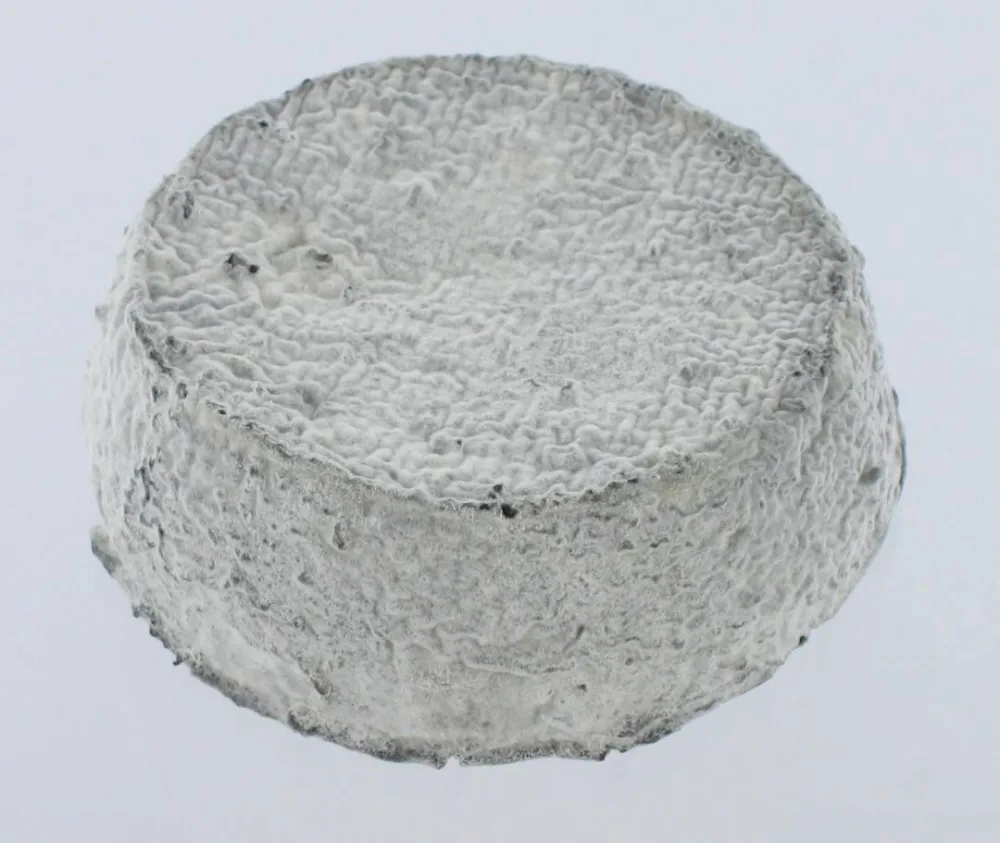 Selles sur cher aop fermier