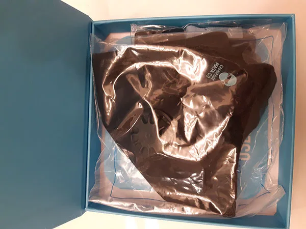 Particle filter mask