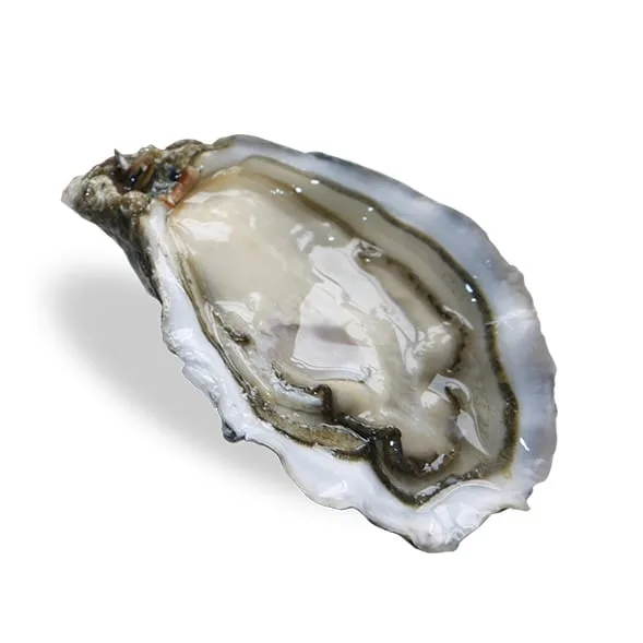 Huitres