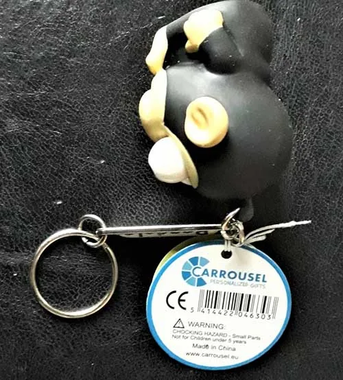 Key ring