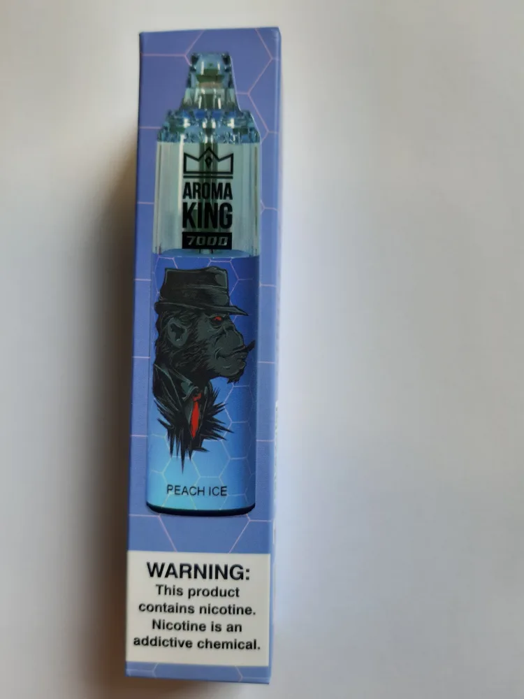 Disposable electronic cigarette