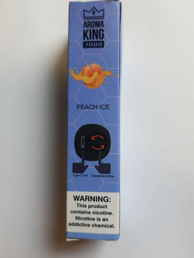 Disposable electronic cigarette