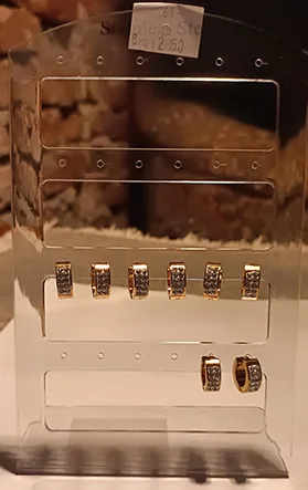 Earrings