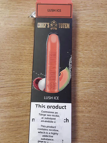 Disposable electronic cigarette