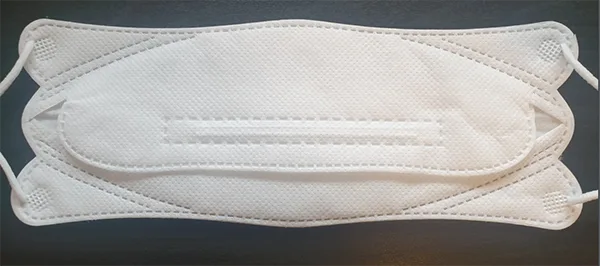 Particle filter mask
