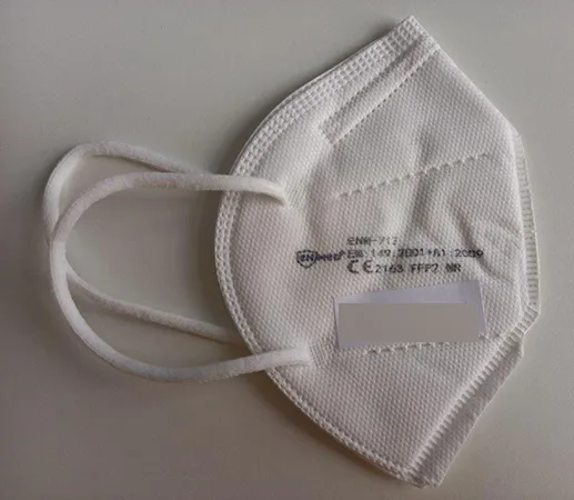 Particle filter mask