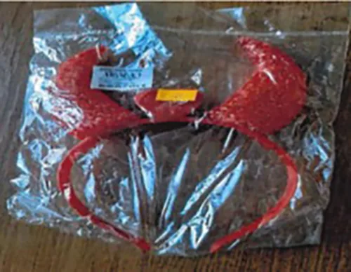 Battery operated toy