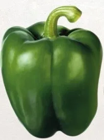 Poivrons verts