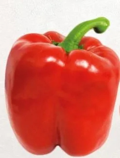 Poivrons rouges