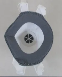 Particle filter mask
