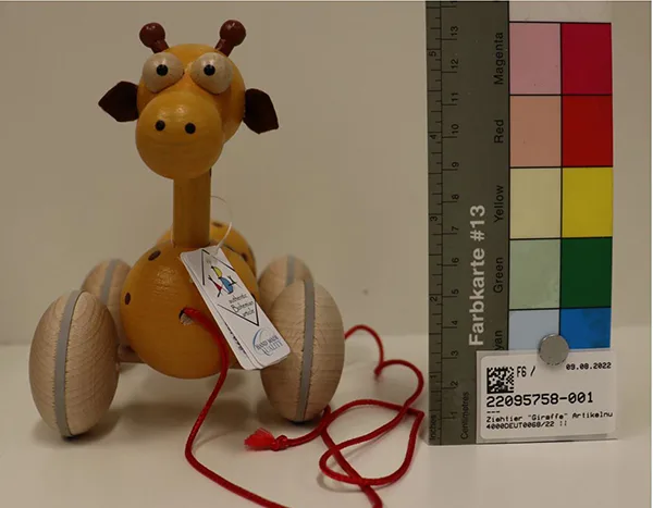 Pull-along toy