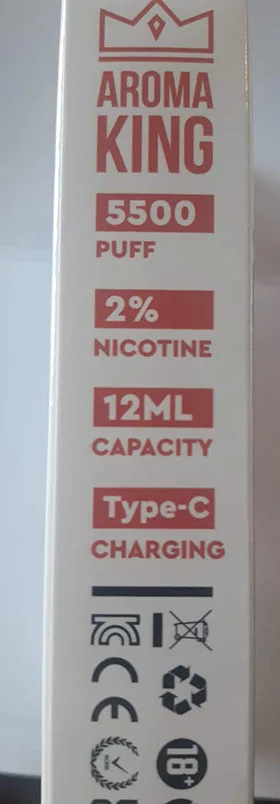 Disposable electronic cigarette
