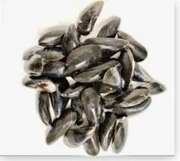 Moules de bouchot