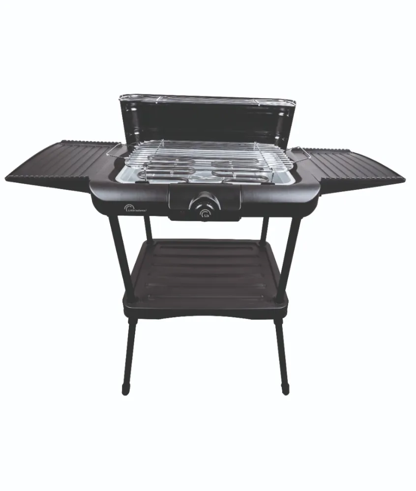 Barbecue de jardin