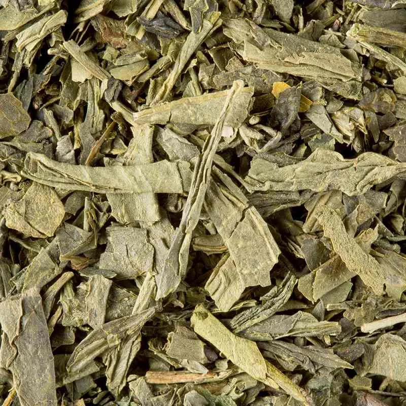 Sencha chine