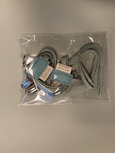 Soother holder