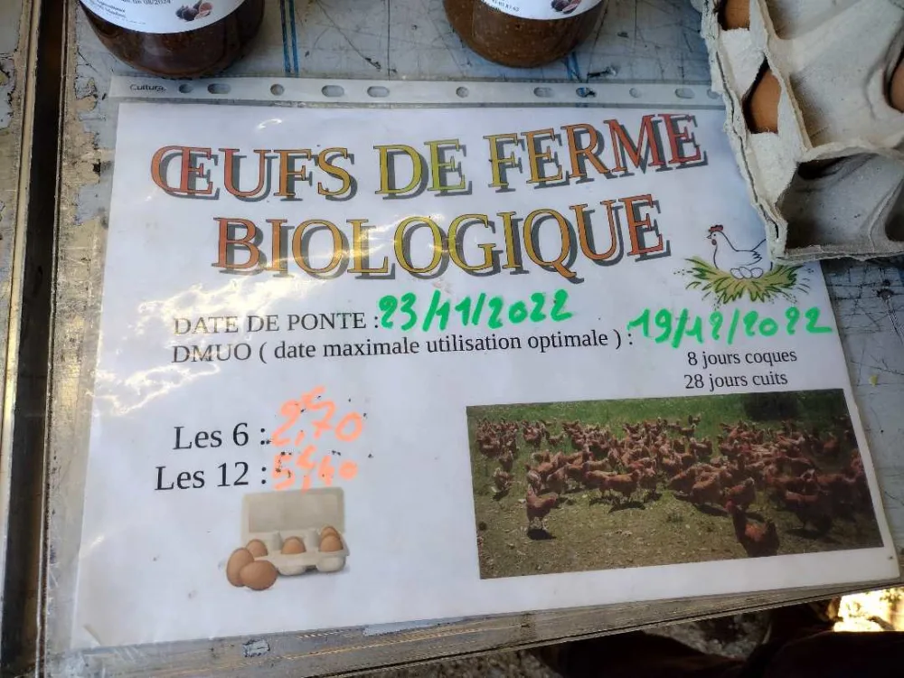 Oeufs coquille