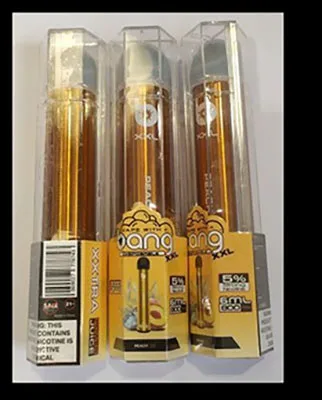 Disposable electronic cigarette