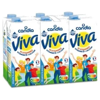 Viva 1% mg 10 vitamines – brique 1l x 6