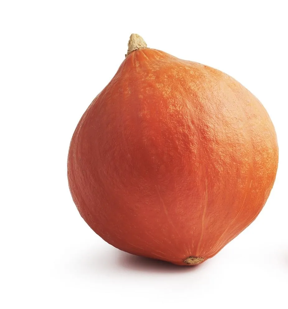Potimarron