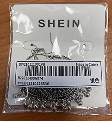 Earrings