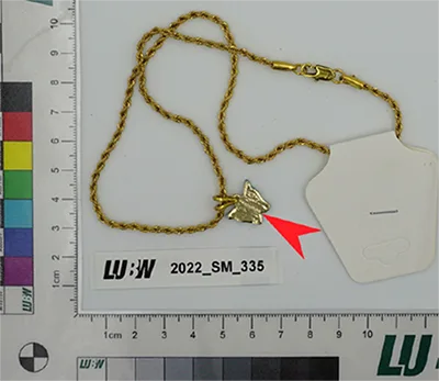 Chain with pendant