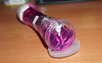 Toy slime