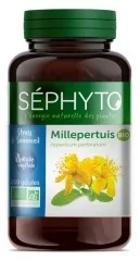 Millepertuis